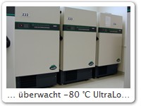 ... überwacht -80 °C UltraLow Freezer
Hier im Zentrallabor des Klinikums der Johannes Gutenberg-Universität Mainz
