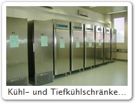 Kühl- und Tiefkühlschränke mit biologischer Ware
Hier bei der Trina Bioreactives AG in der Schweiz
