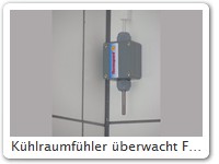 Kühlraumfühler überwacht Frischfisch
Hier bei der Mitte Meer GmbH, München (siehe auch separate Galerie)
